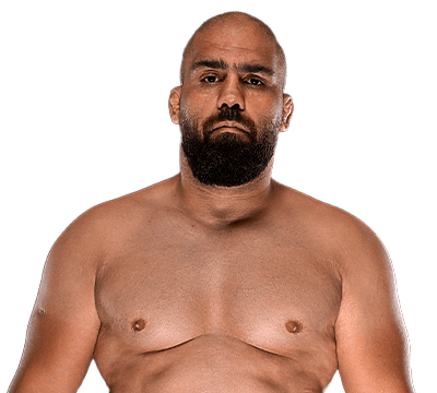 Mehdi Barghi