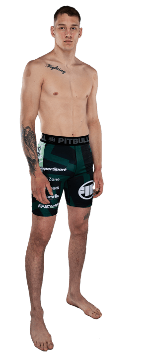 Ilija Brkan