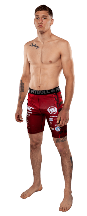 Ilija Brkan
