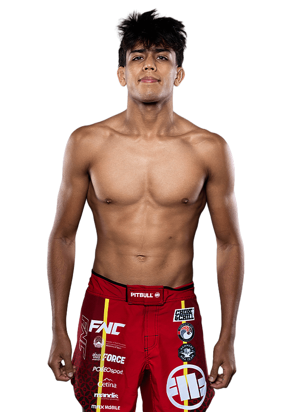 fighter